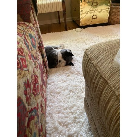Customer image 47