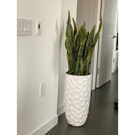 Customer image 31