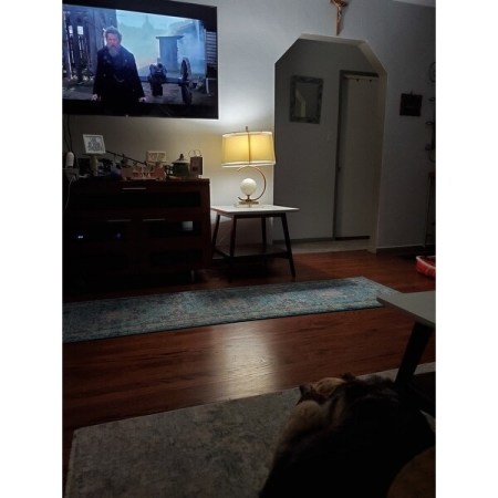 Customer image 41