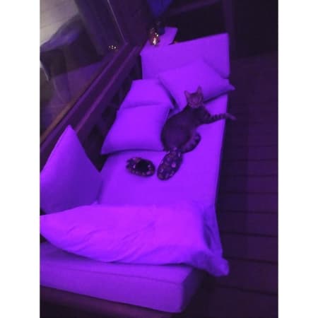 Customer image 72