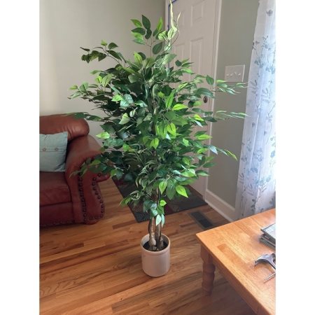 Customer image 6