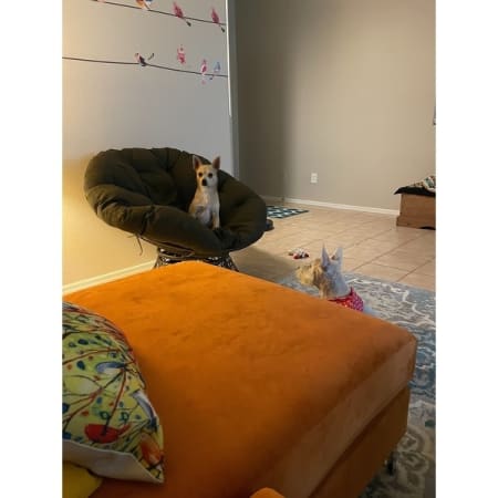 Customer image 56