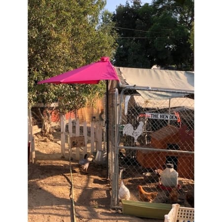 Customer image 61