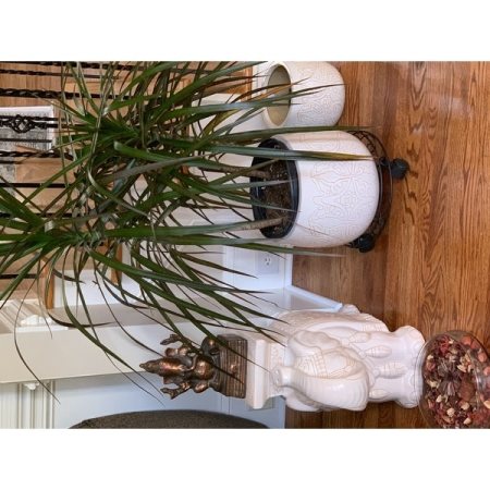 Customer image 54