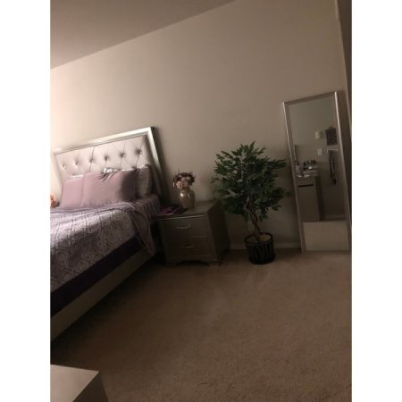Customer image 54