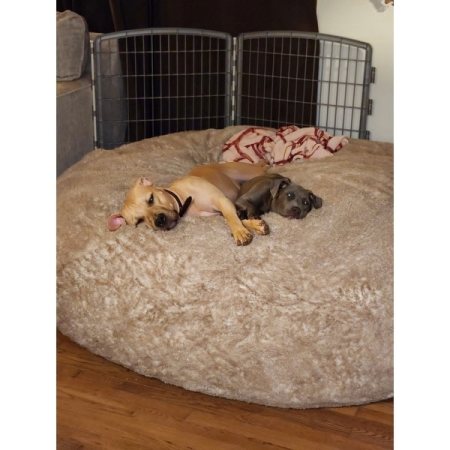 Customer image 1
