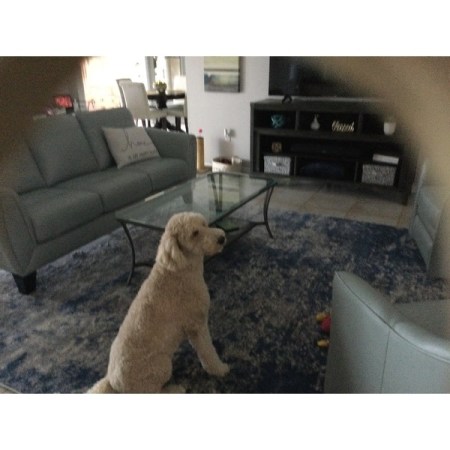 Customer image 281