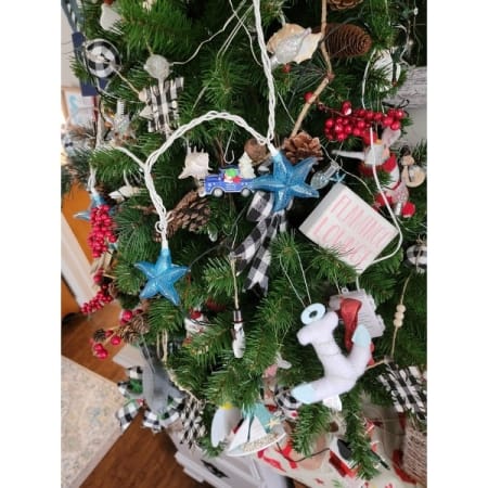 Customer image 1