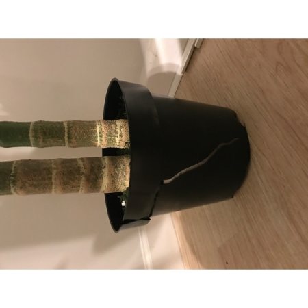 Customer image 7