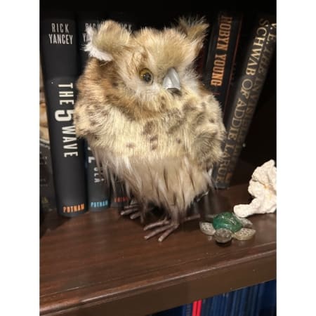 Customer image 3