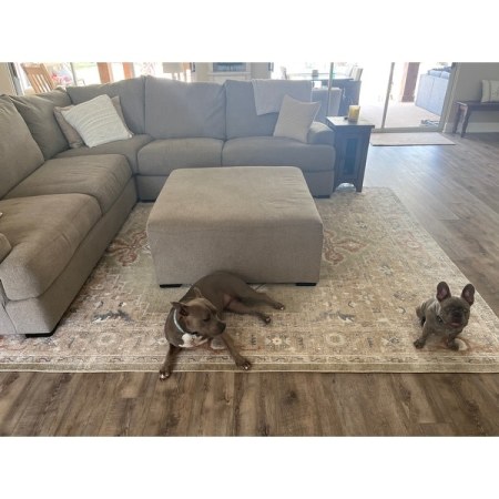 Customer image 4