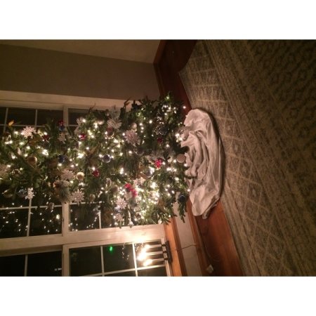 Customer image 726