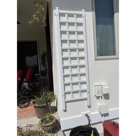 Customer image 2