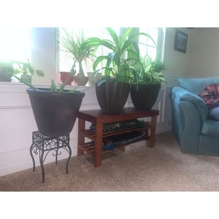 Customer image 49