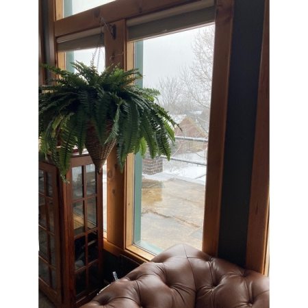 Customer image 5