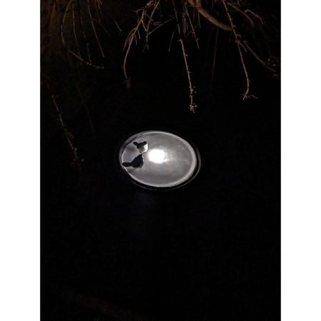Customer image 4