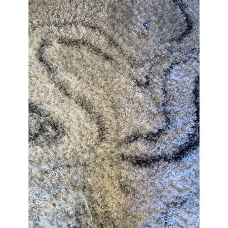 Customer image 41
