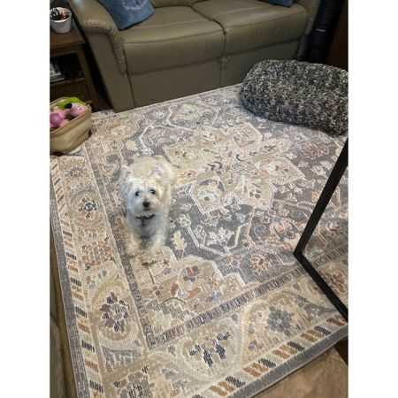 Customer image 1