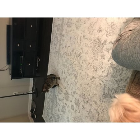 Customer image 1158