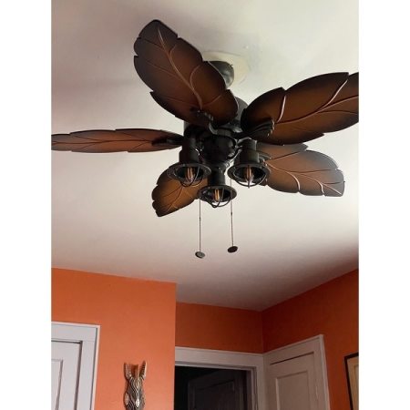 Customer image 53