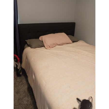 Customer image 47