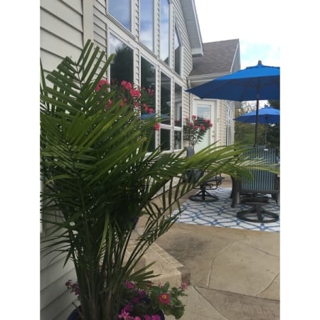 Customer image 6