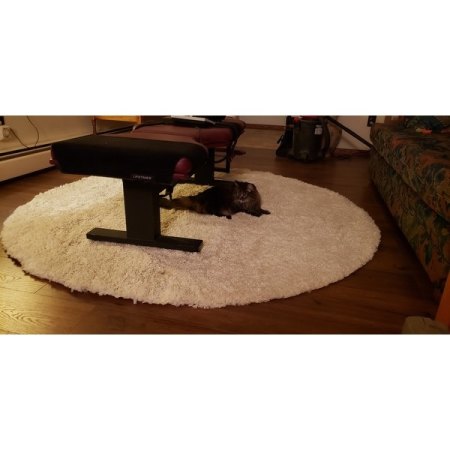 Customer image 76