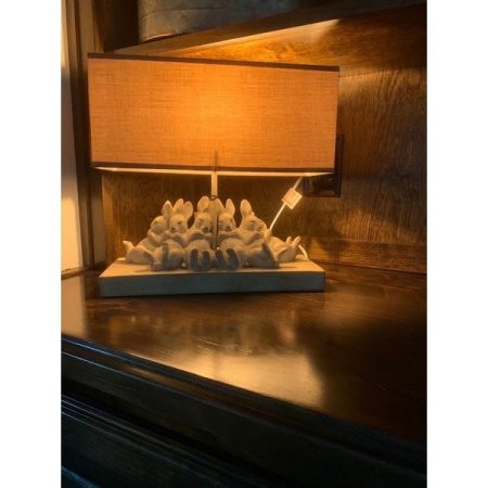 Customer image 9