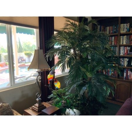 Customer image 9