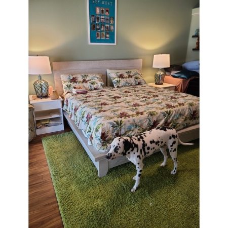 Customer image 8