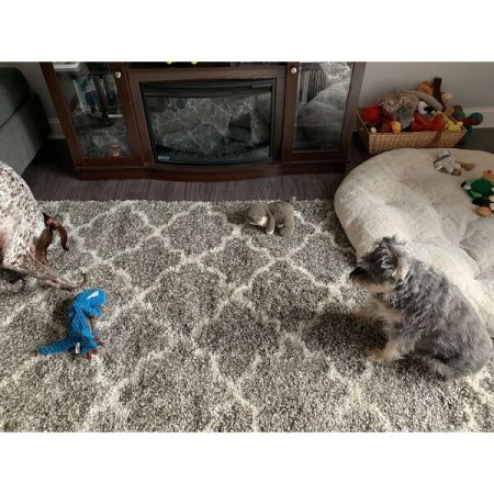 Customer image 369