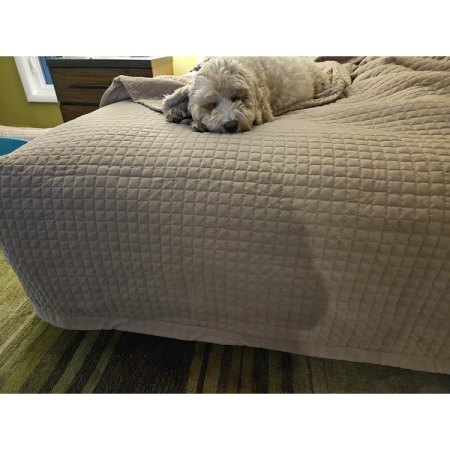 Customer image 1