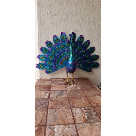 Customer image 47