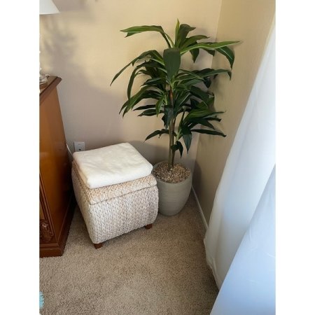 Customer image 56