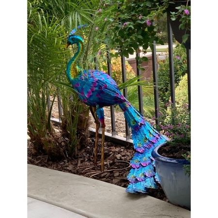 Customer image 33
