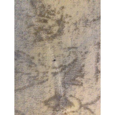Customer image 2