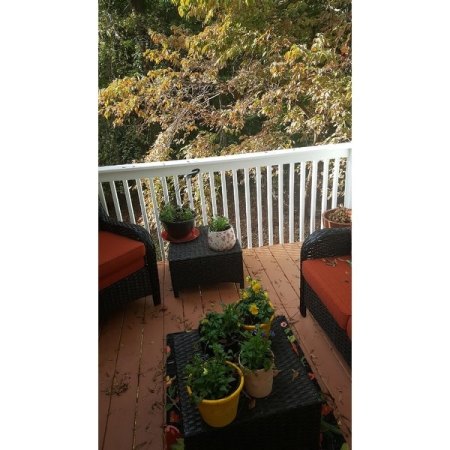 Customer image 80