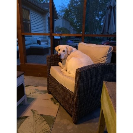 Customer image 4