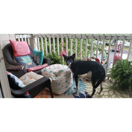 Customer image 1041