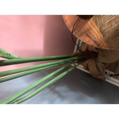 Customer image 62