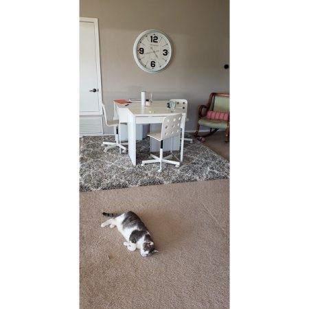 Customer image 365