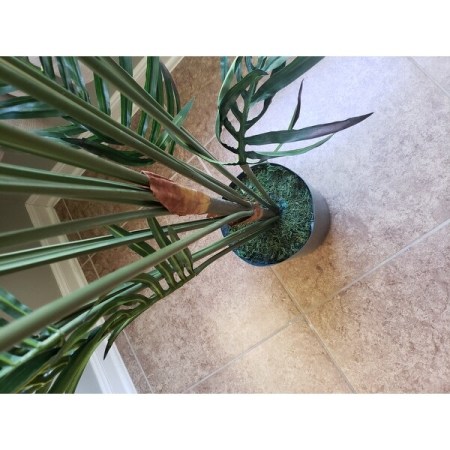 Customer image 73