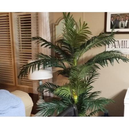 Customer image 112