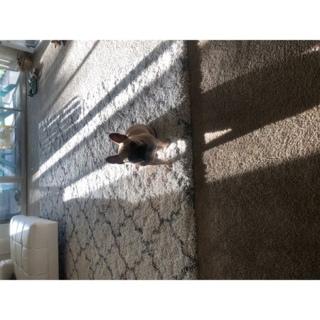 Customer image 599