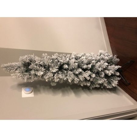 Customer image 6