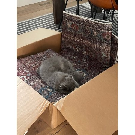 Customer image 12