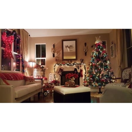 Customer image 66