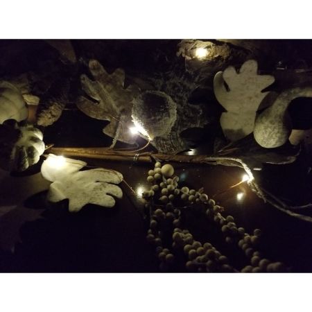 Customer image 5