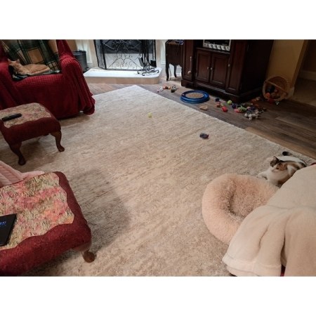Customer image 14