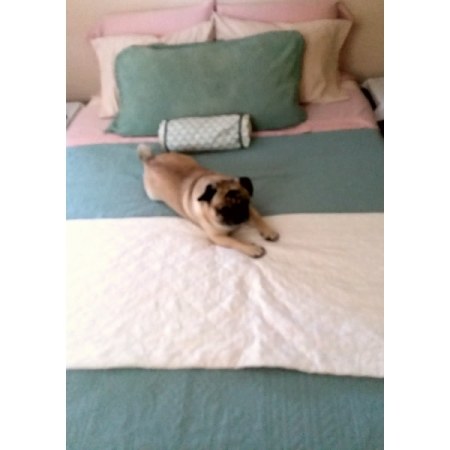 Customer image 27